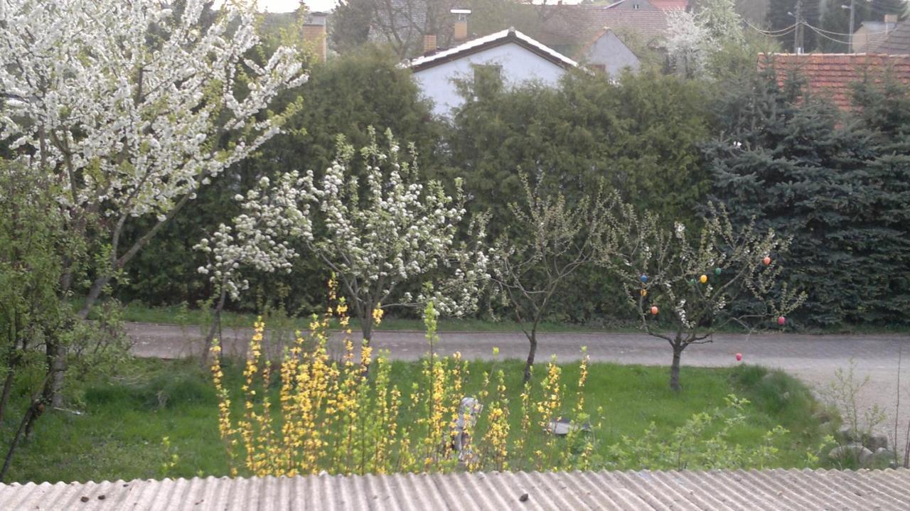Restaurant Pension Lubusch Gahro Kültér fotó